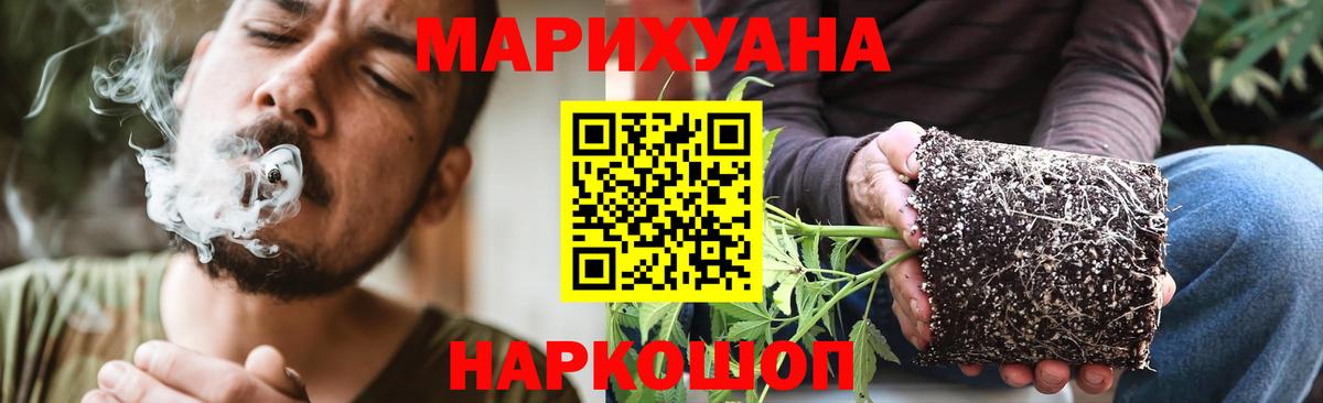 Шишки марихуана ГИДРОПОН Белгород